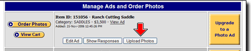 Upload Photos