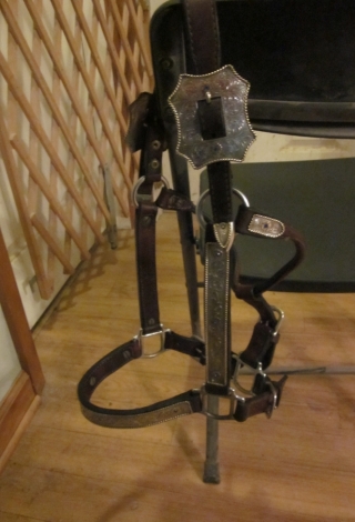 Tack ID: 568558 Silver show Halter - PhotoID: 153390 - Expires 04-Oct-2024 Days Left: 27