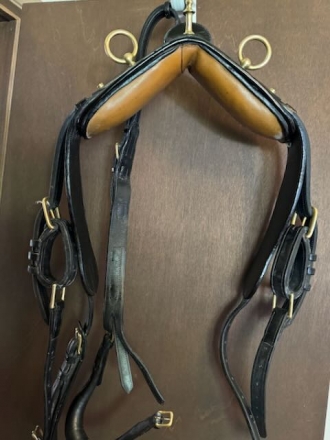 Tack ID: 568595 Price Reduced Smucker Carriage Show Harness-Horse-Excellent - PhotoID: 153219 - Expires 09-Dec-2024 Days Left: 93