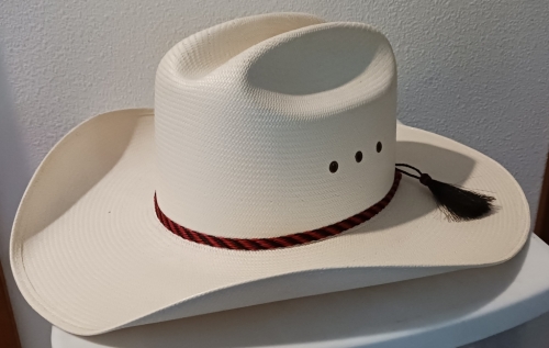 Tack ID: 568599 Stetson Western hats + case - PhotoID: 153208 - Expires 09-Sep-2024 Days Left: 2