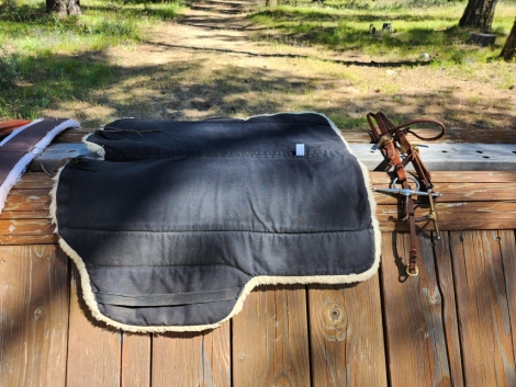 Tack ID: 568636 Genuine Bob Marshall Treeless Sport Saddle - PhotoID: 153260 - Expires 14-Dec-2024 Days Left: 58