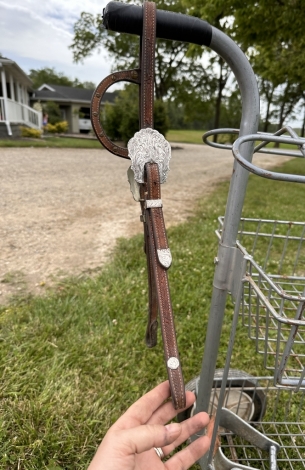 Tack ID: 568678 Classy Blue Ribbon headstall - PhotoID: 153310 - Expires 21-Sep-2024 Days Left: 5