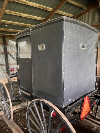 Tack ID: 569040 Amish Buggy and Pony Cart - PhotoID: 153855 - Expires 24-Dec-2024 Days Left: 63