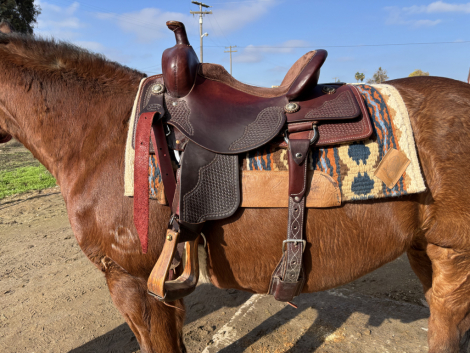 Tack ID: 569286 15 inch ranch versatility saddle - PhotoID: 154139 - Expires 24-Mar-2025 Days Left: 68