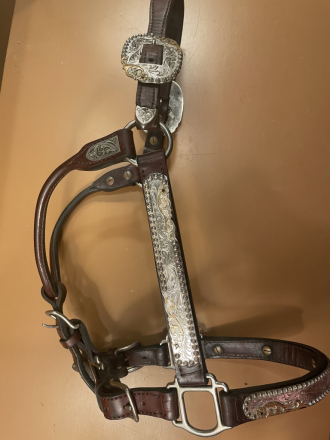 Tack ID: 569415 Beautiful Silver & Gold Embellished Showmanship Halter - PhotoID: 154266 - Expires 15-May-2025 Days Left: 28