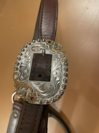 Tack ID: 569415 Beautiful Silver & Gold Embellished Showmanship Halter - PhotoID: 154268 - Expires 15-May-2025 Days Left: 28
