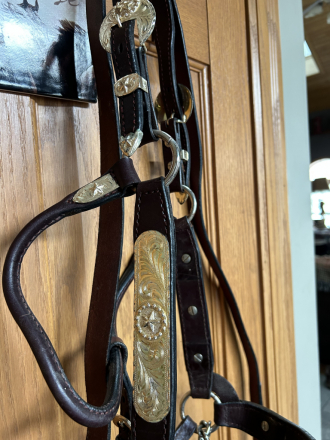 Tack ID: 569513 Silver Show Halter - PhotoID: 154409 - Expires 26-Jun-2025 Days Left: 72