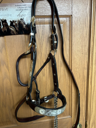 Tack ID: 569513 Silver Show Halter - PhotoID: 154410 - Expires 26-Jun-2025 Days Left: 72