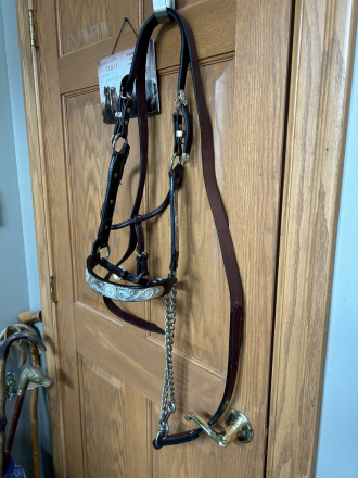 Tack ID: 569513 Silver Show Halter - PhotoID: 154411 - Expires 26-Jun-2025 Days Left: 72