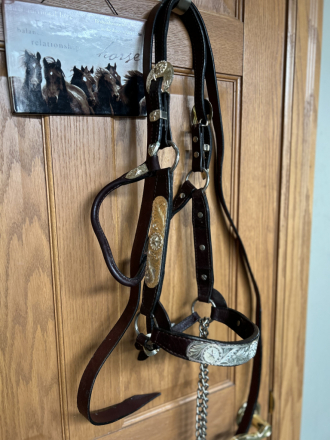 Tack ID: 569513 Silver Show Halter - PhotoID: 154412 - Expires 26-Jun-2025 Days Left: 72