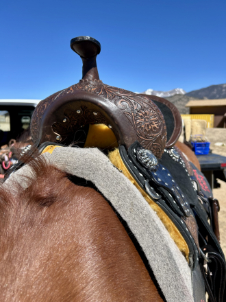 Tack ID: 569520 14.5 inch Barrel Racing Saddle - PhotoID: 154423 - Expires 29-Jun-2025 Days Left: 69