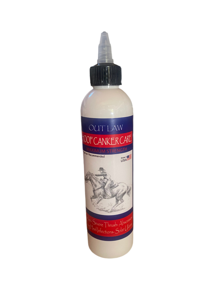 Order #: 00905468 - Date Uploaded: 19-Oct-2026 12:37:53 AM